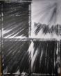 Thorsten Petzold - Fenster der Jahreszeiten Winter, 2010, 80x100cm, Acryl.jpg